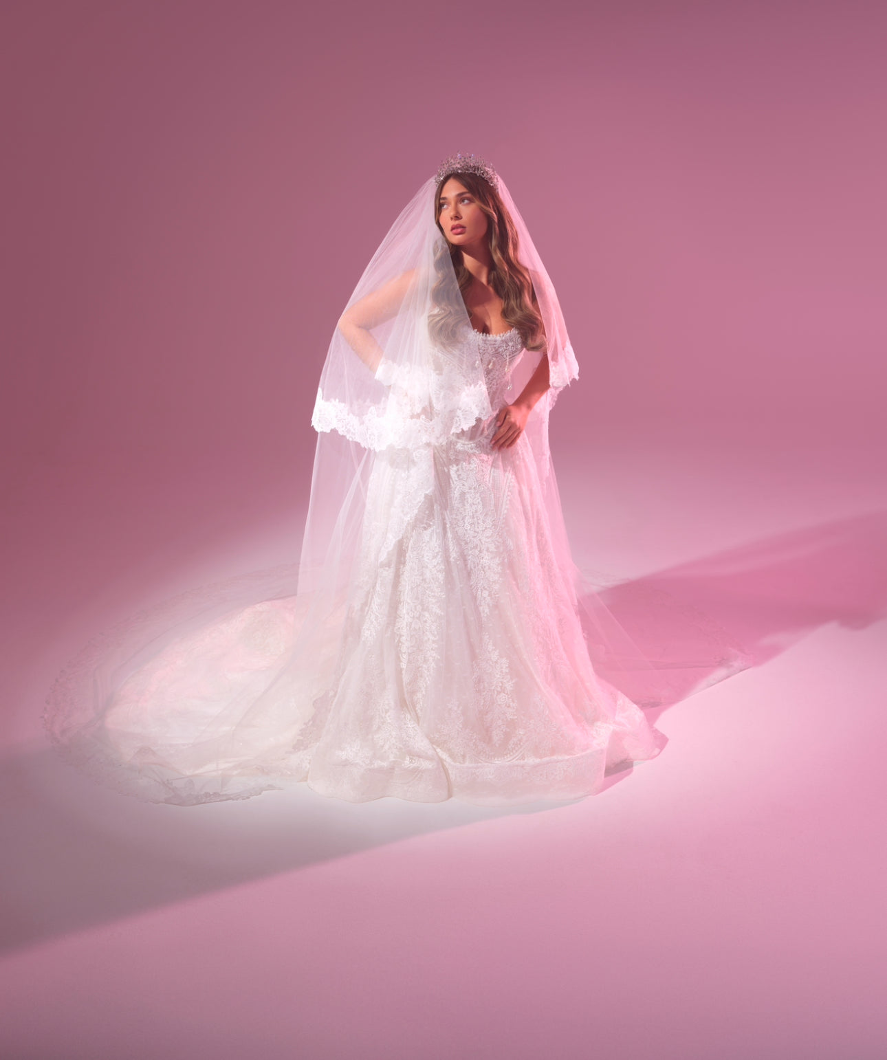Fleurance Lace Veil – Christie Lauren